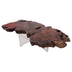 Vintage Reclaimed Burl Redwood Live Edge Slab Coffee Table