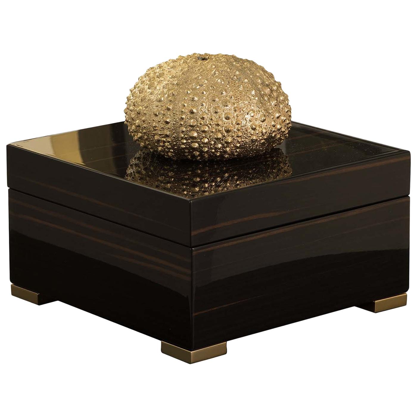 Ebony Square Box with Gold Sea Urchin