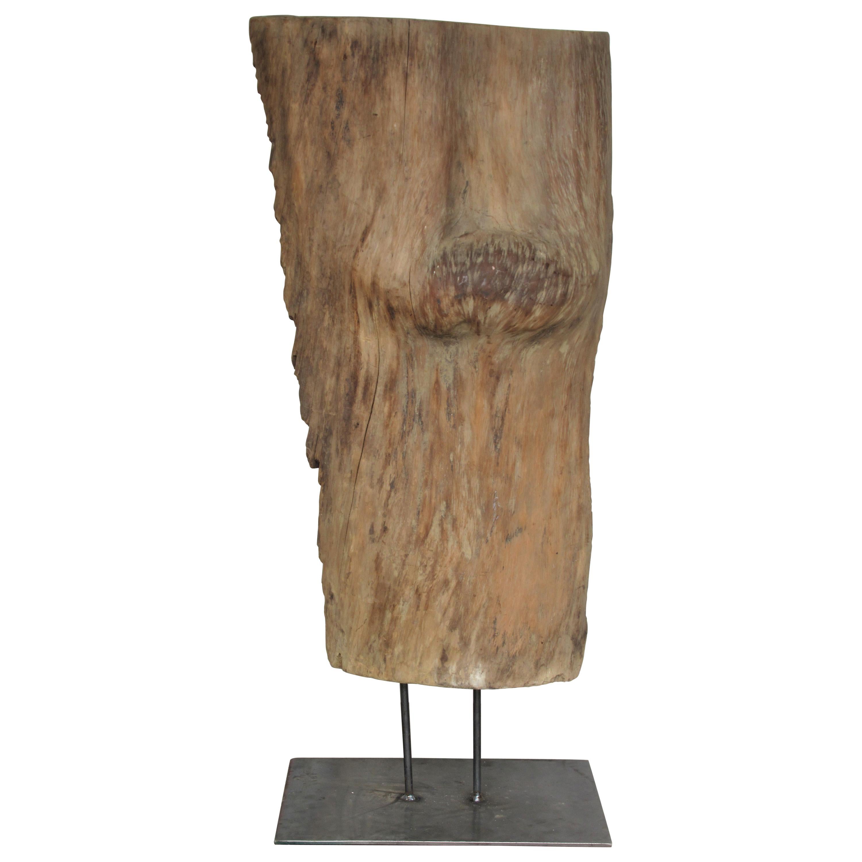 Large Old Burl Tree Trunk Mounted as Sculpture