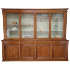 19th Century European Cupboard China Cabinet