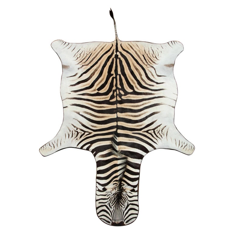 Zebra Rug For Sale at 1stdibs
