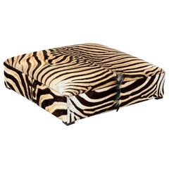 Zebra Ottoman / Coffee Table, Large Square, Chocolate, Brass Legs, in Stock