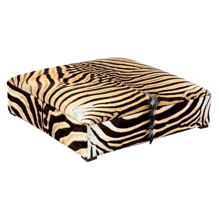 Zebra Ottoman / Coffee Table, Large Square, Chocolate, Brass Legs, in Stock, USA For Sale