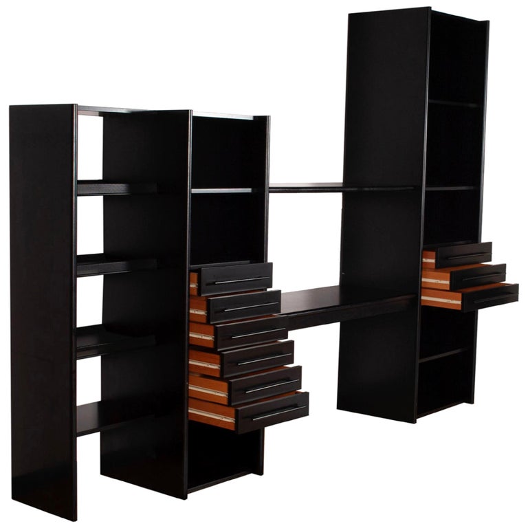 Post Modern Ligne Roset Ebonized Minimal Wall Unit Shelves