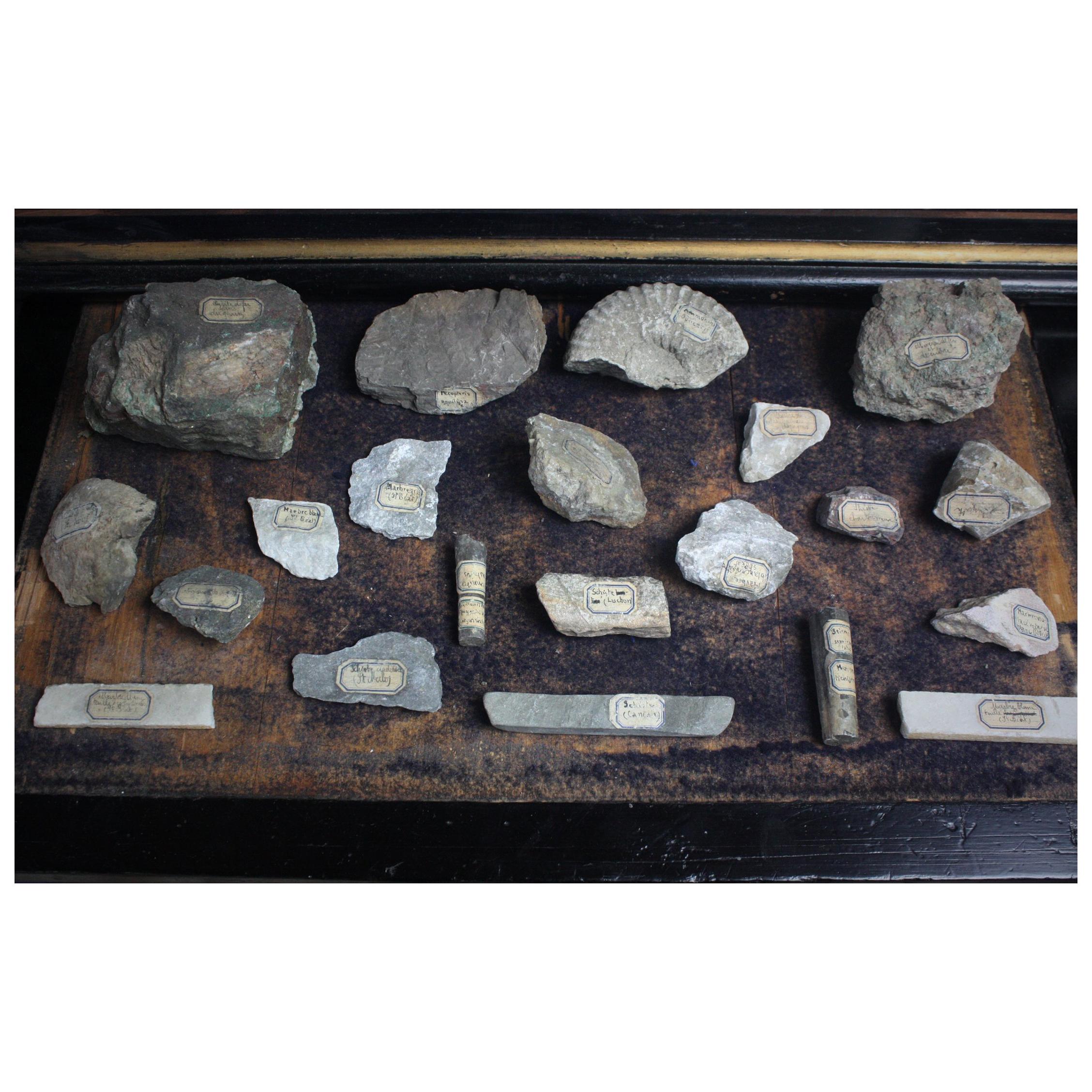 A small collection of Metamorphic and Sedimentary rocks all with original labels. French in origin, mid 19th century in age. 21 in total. Largest specimen is approx 

12 by 10cm. Smallest example 4 by 3 cm.
