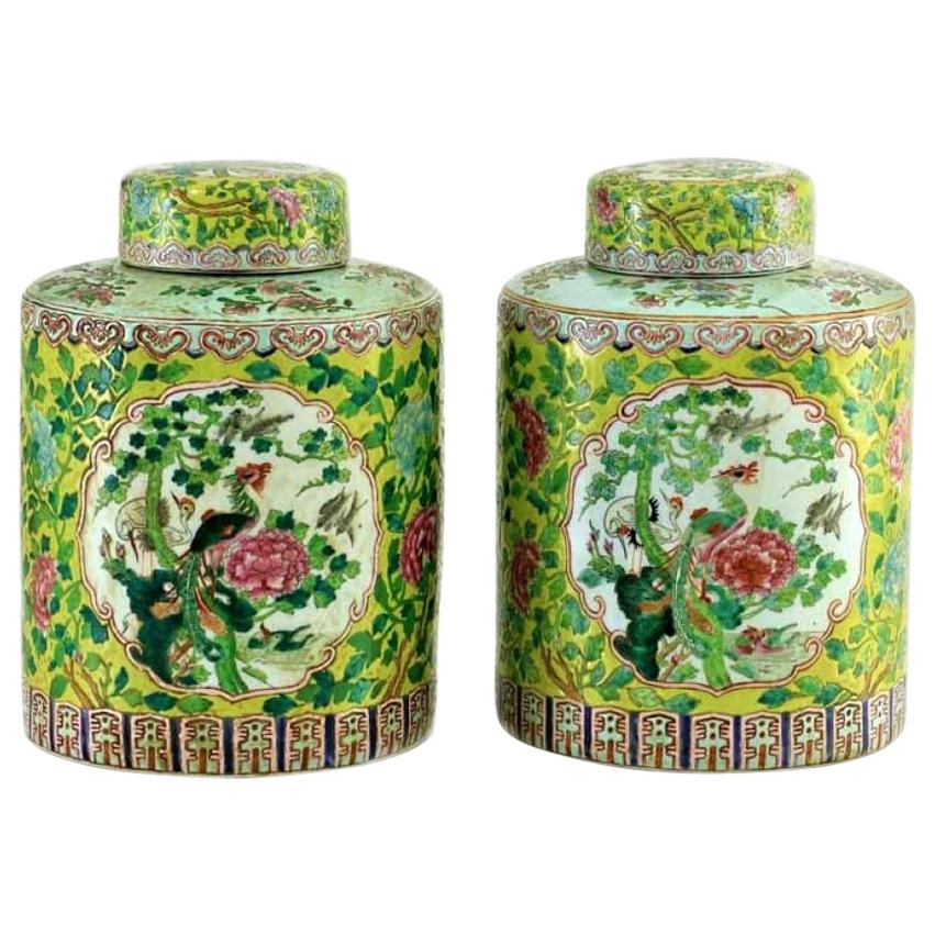 Late 19th Century Pair of Chinese Hand Painted Porcelain Ginger Jars with Lid