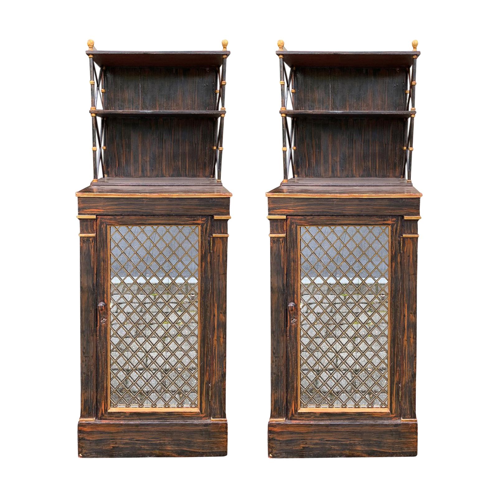 Pair of 19th Century Regency Faux Bois Chiffoniers, Mirrored Door, circa 1825 For Sale
