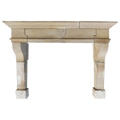 Vintage French Louis XIII "Salmon" Fireplace Hand-Carved in Limestone from France.