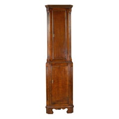 Tall, Narrow Antique Corner Cabinet, Edwardian, Georgian Revival, Oak