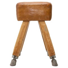 Vintage Beech, Metal and Leather Gym Pommel Horse, 1930s