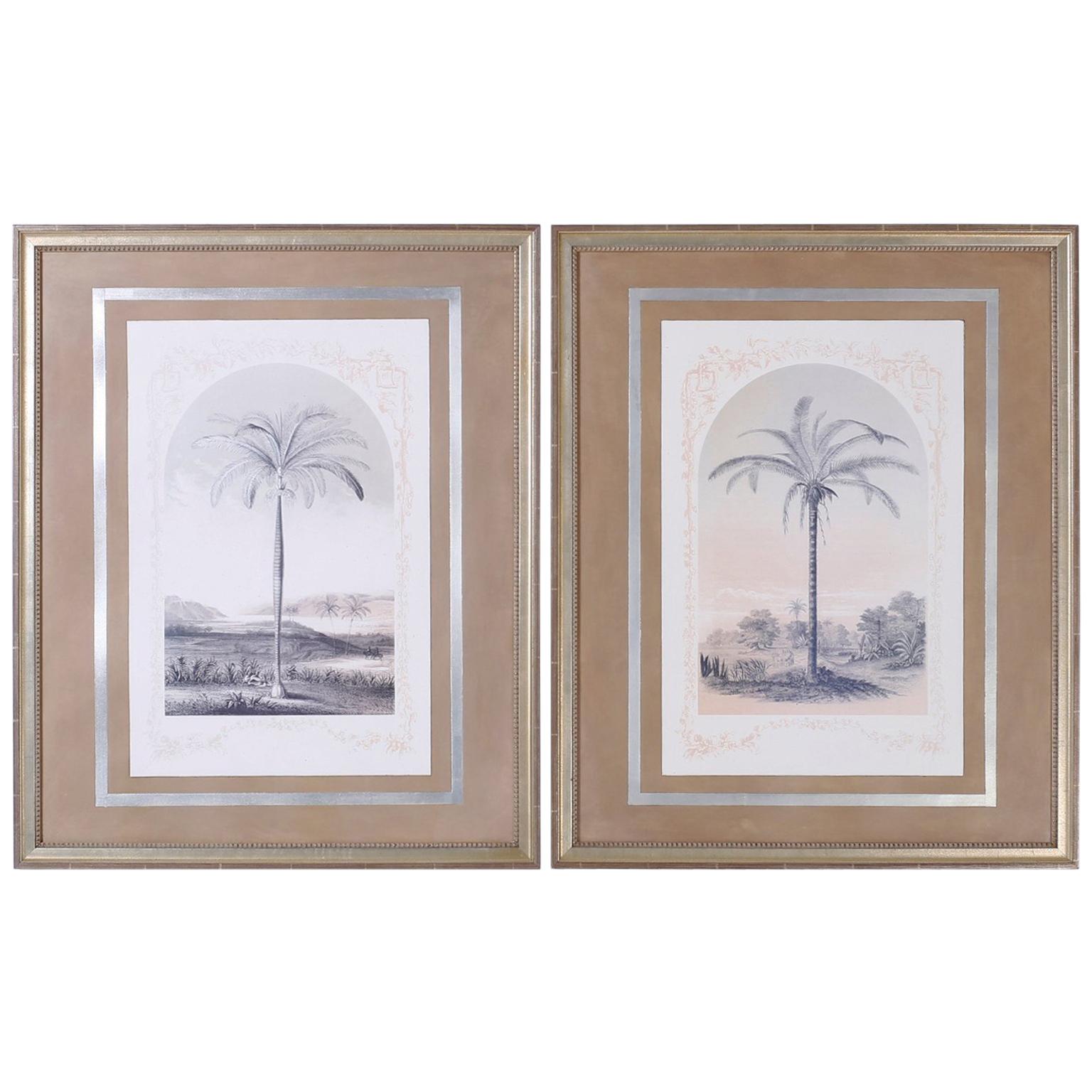Pair of Framed and Matted Palm Tree Lithographs