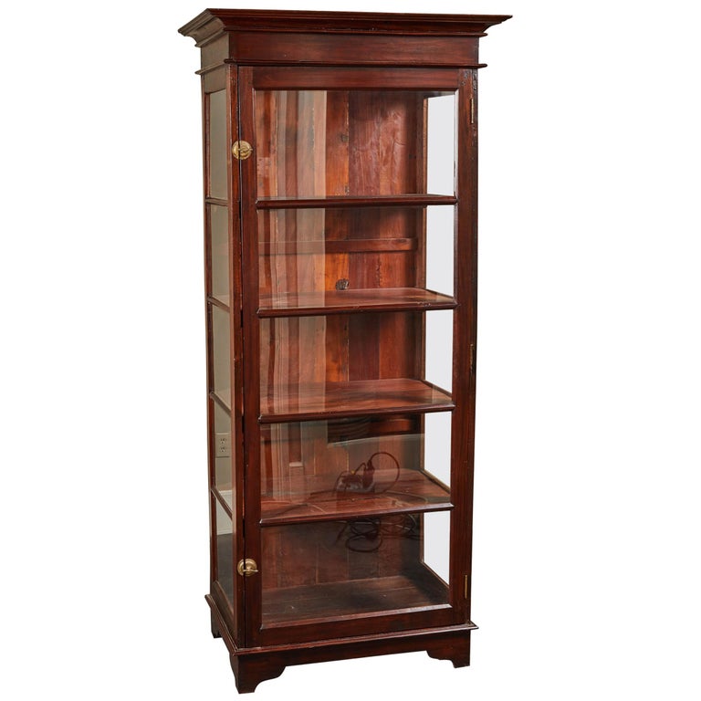 20th Century Sri Lankan Display with Single Door at 1stDibs