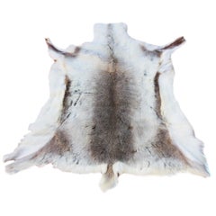 Scandinavian Reindeer Skin Hide