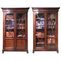 Antique 19th Century Italian Pair of Charles X Walnut Wood Cabinets with Glass Doors
