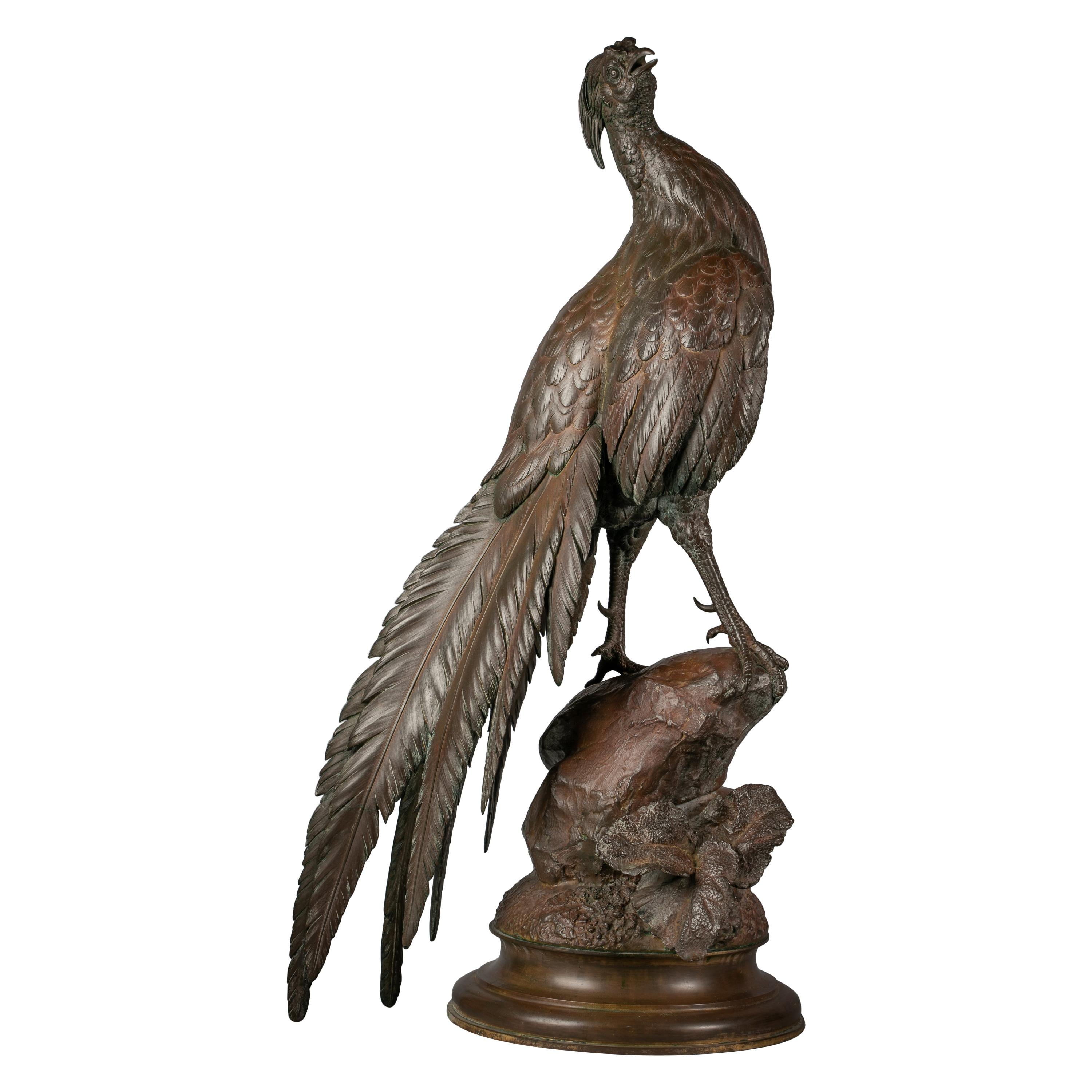 Large French Bronze Pheasant, by Ferdinand Pautrot
