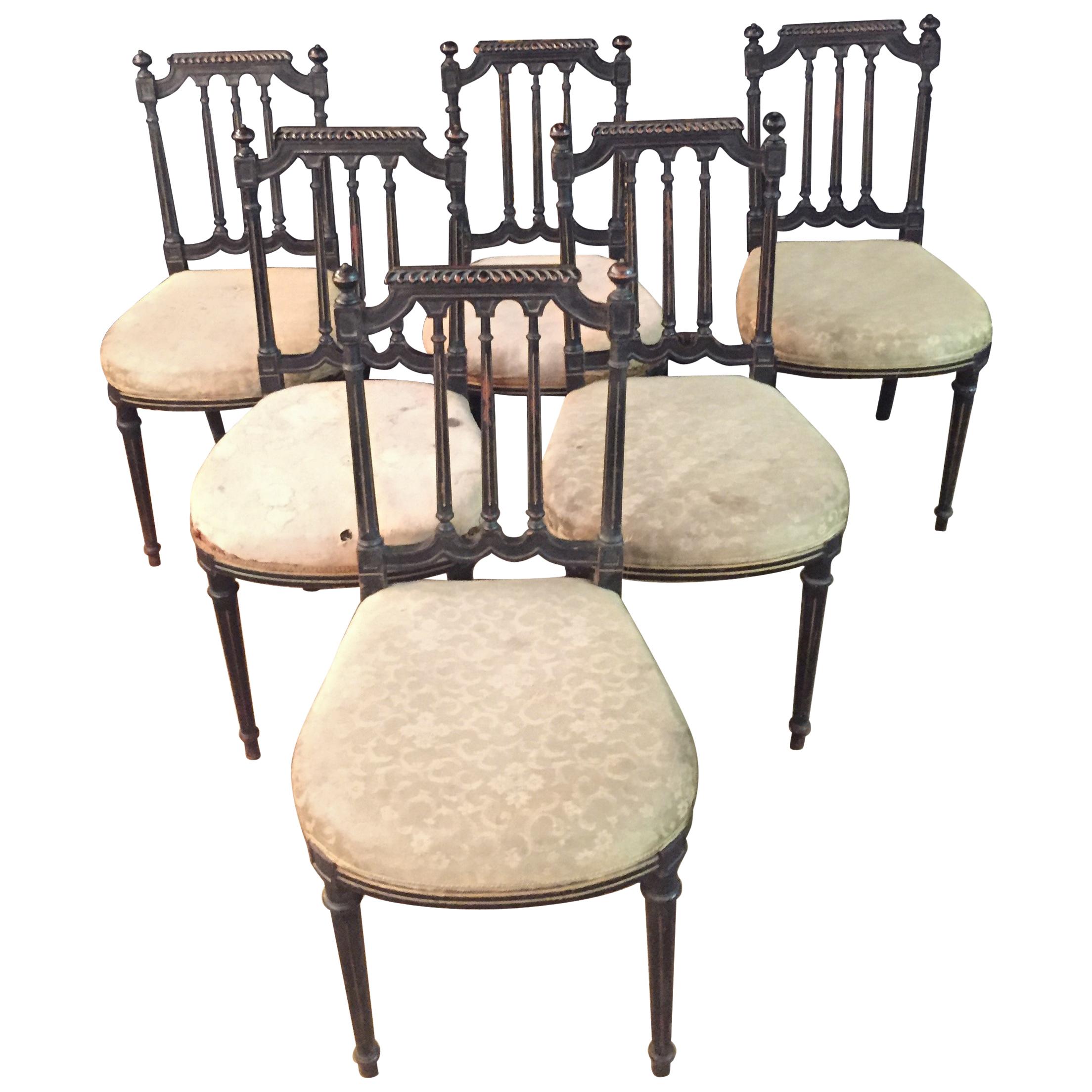6 Chairs in antique Louis Seize Stil Black Ebonized beech