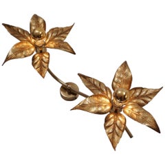 Willy Daro Light, Brass Flowers by Massive Lighting, circa 1970s, Belgian