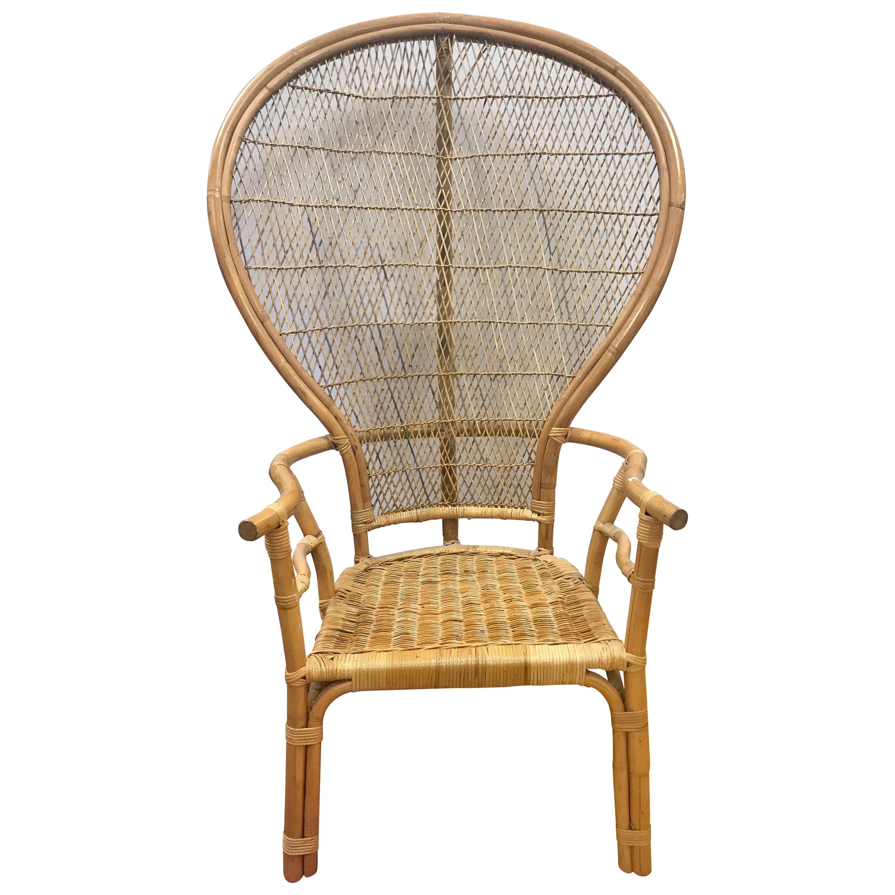 Mid-Century Modern Wicker Rattan Peacock Chair