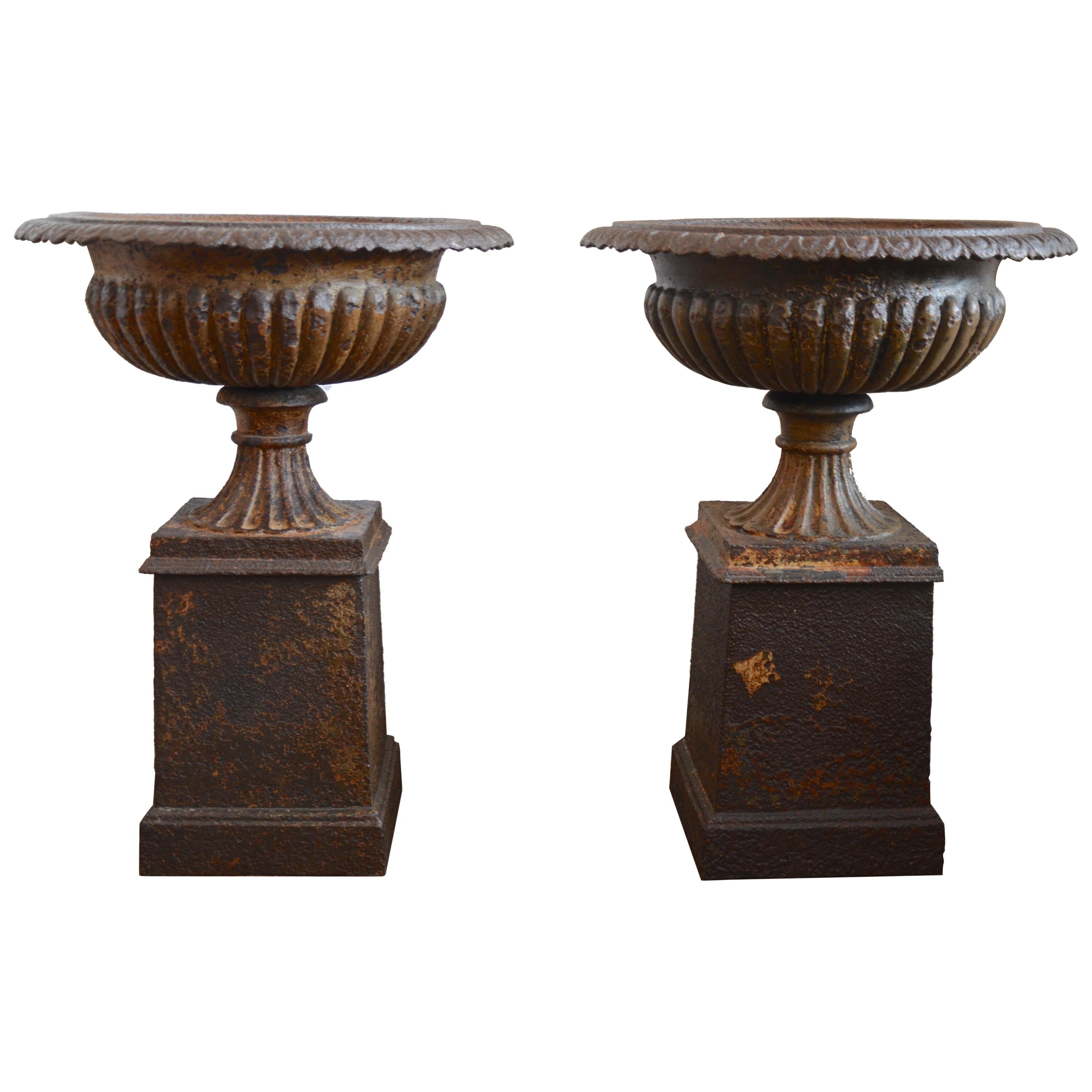 Pair of Large French Empire Style 19th Century Cast Iron Garden Urns