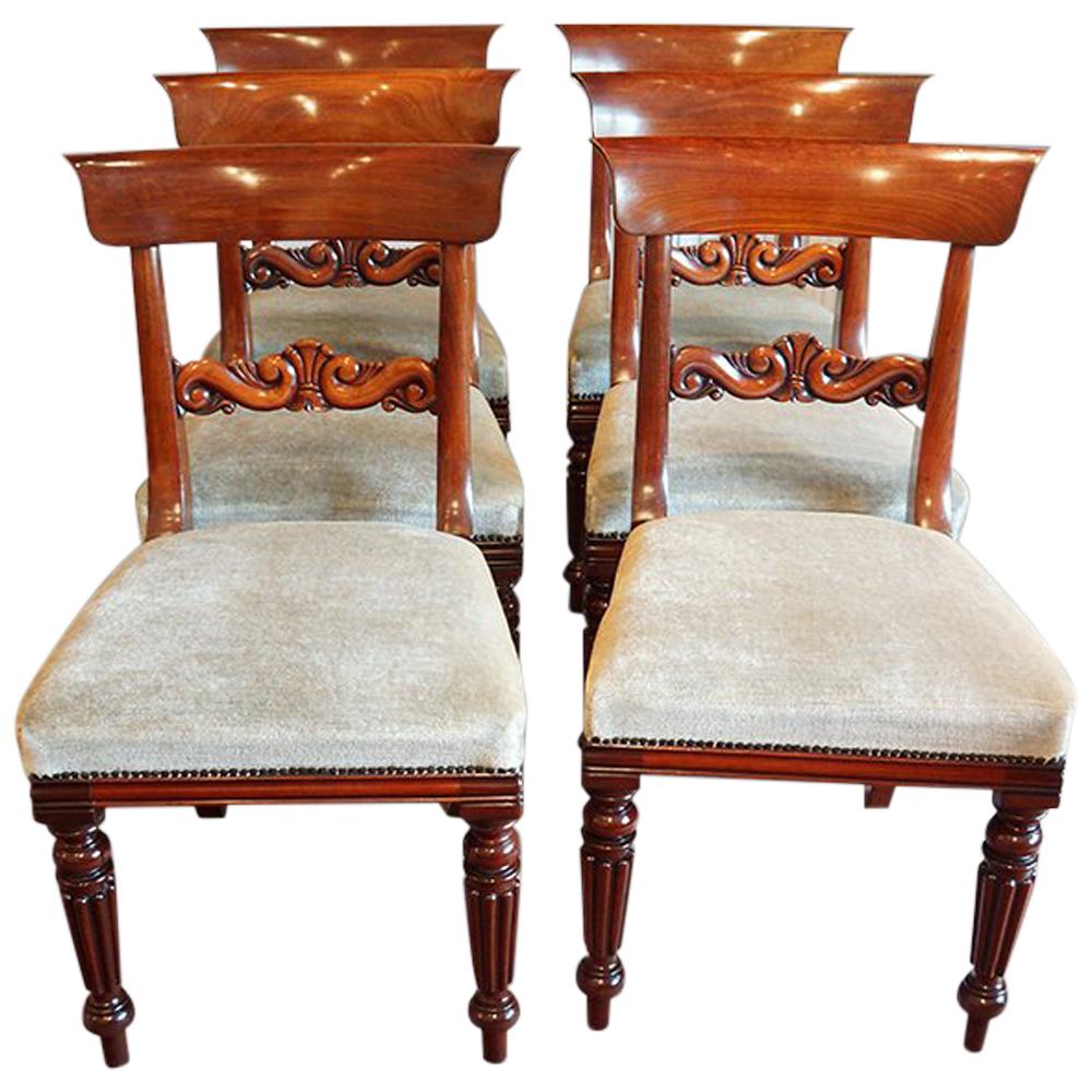 Set of 6 William iv Mahogany Dining Chairs For Sale