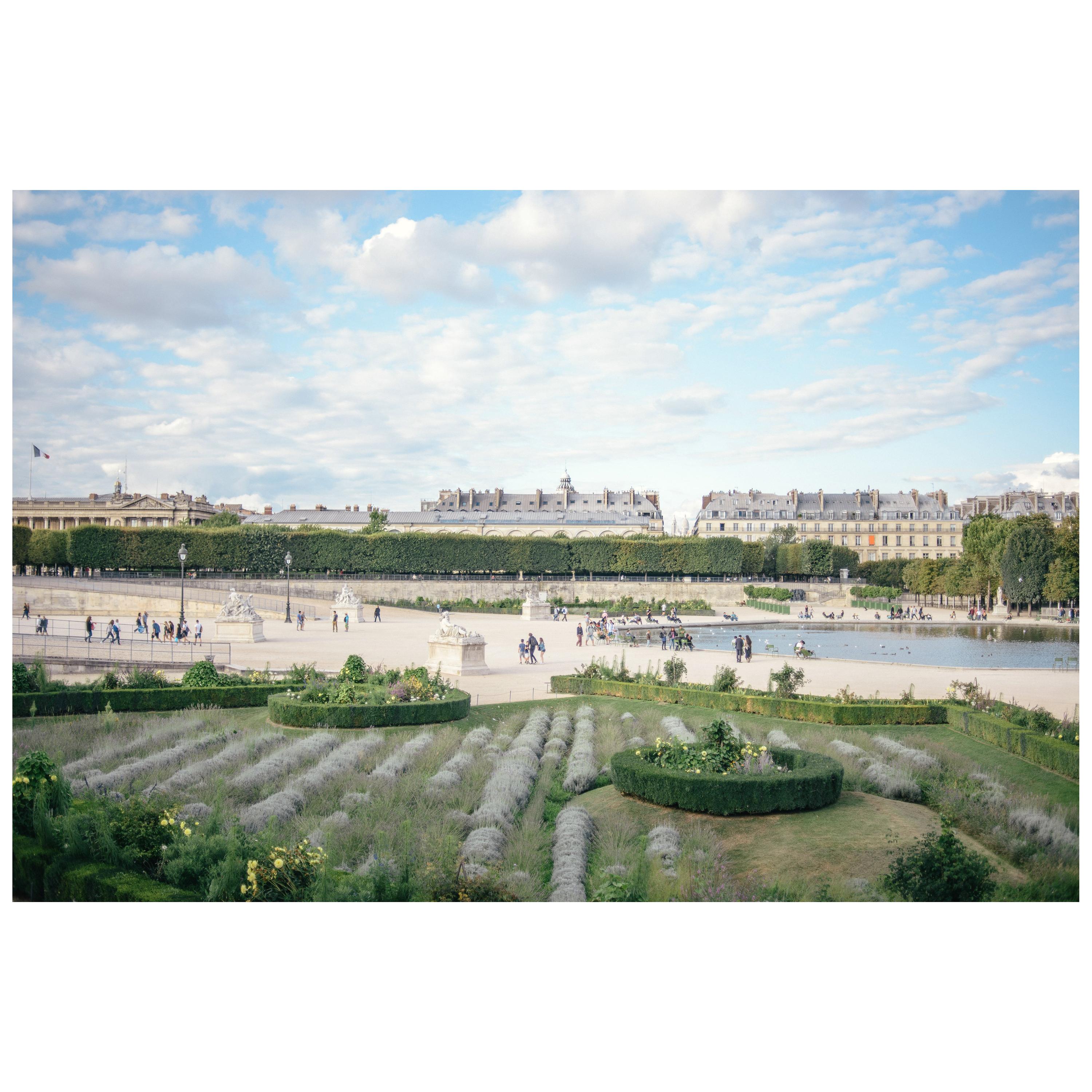 Paris Tuileries Photography by Dmitry Kostyukov For Sale