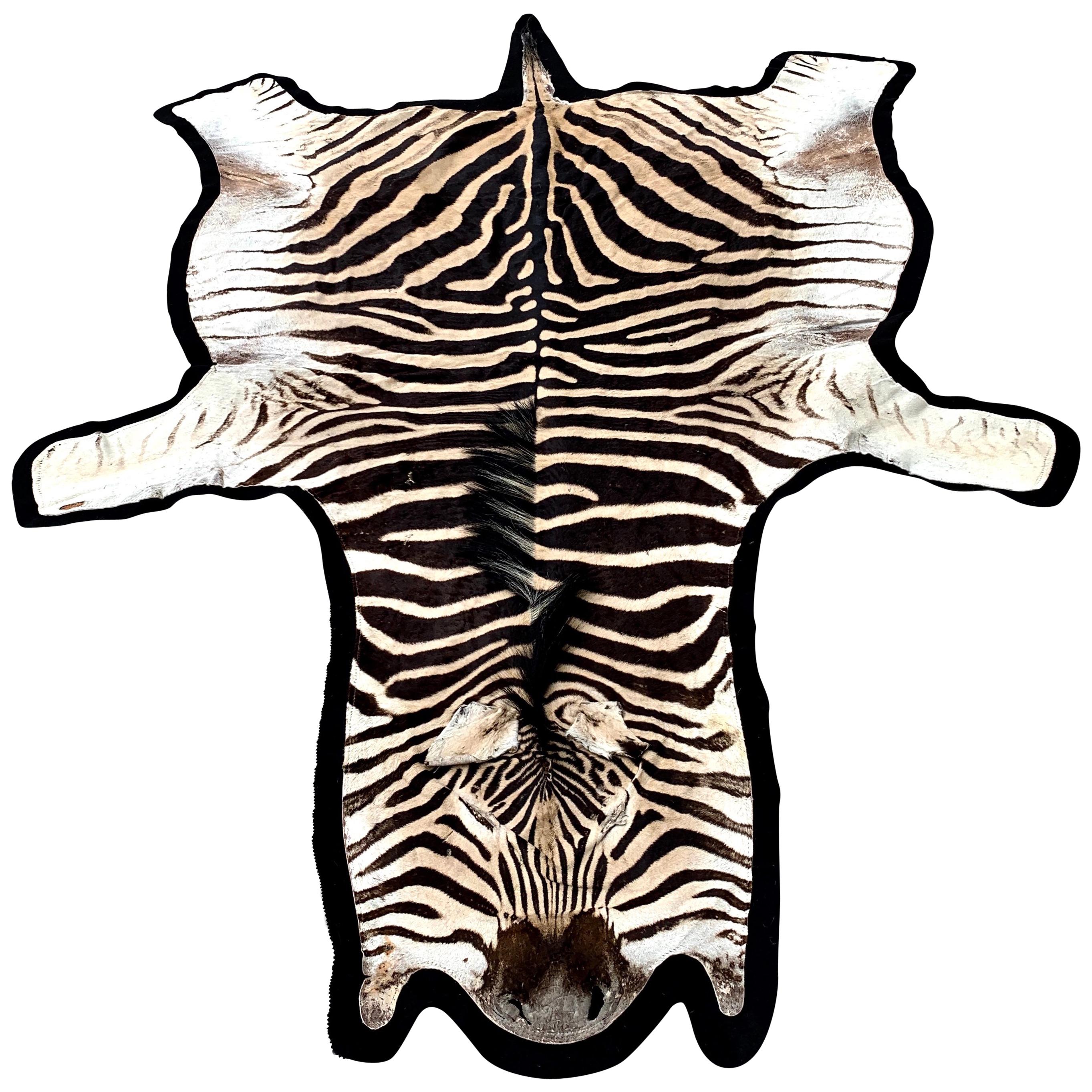 Vintage Zebra Hide Rug, Newly Backed