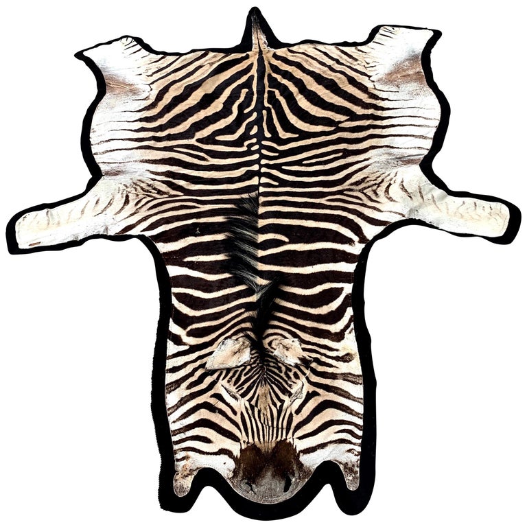 Vintage Zebra Hide Rug, Newly Backed at 1stDibs
