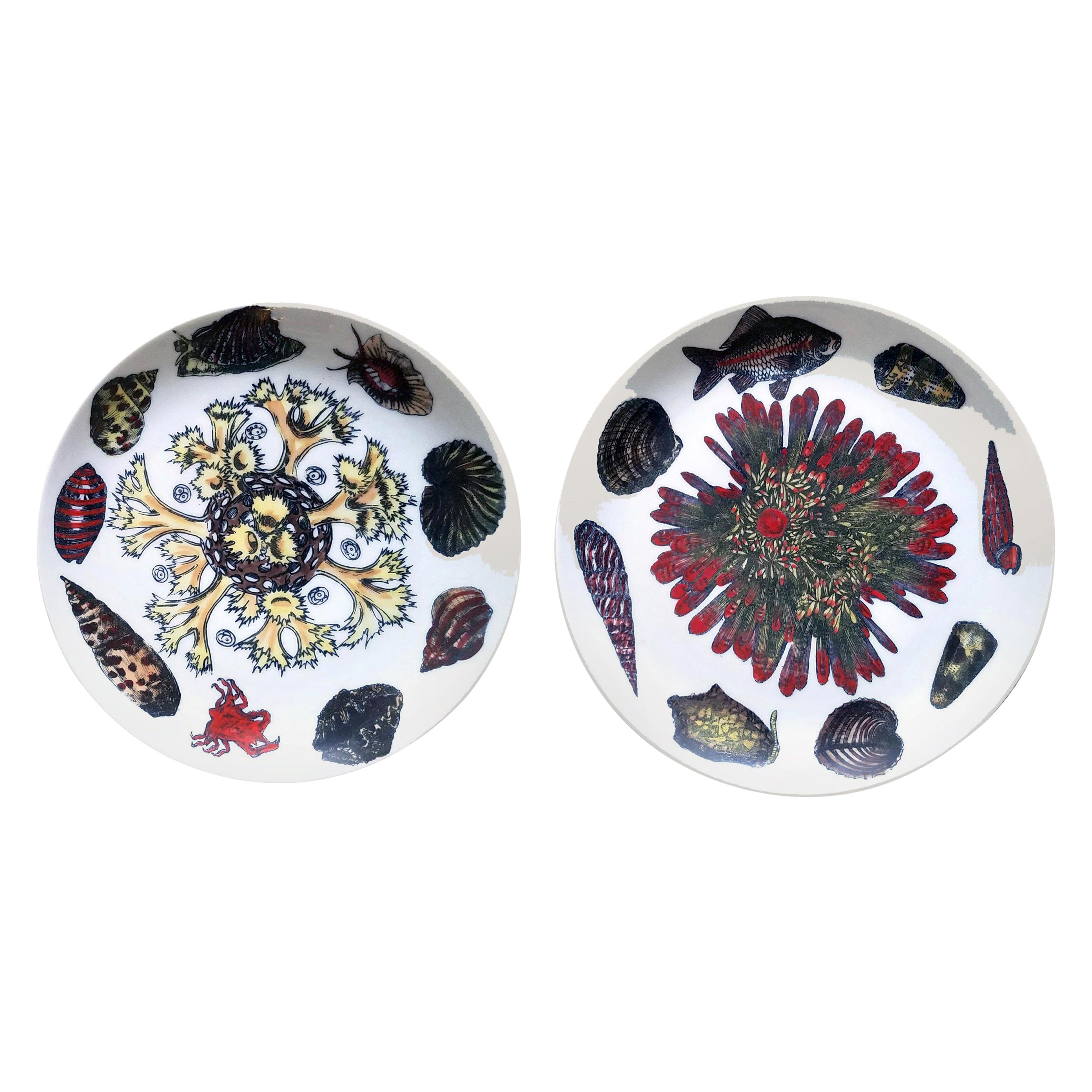 Vintage Piero Fornasetti Porcelain Plates, Pair Decorated with Sea Anemones For Sale