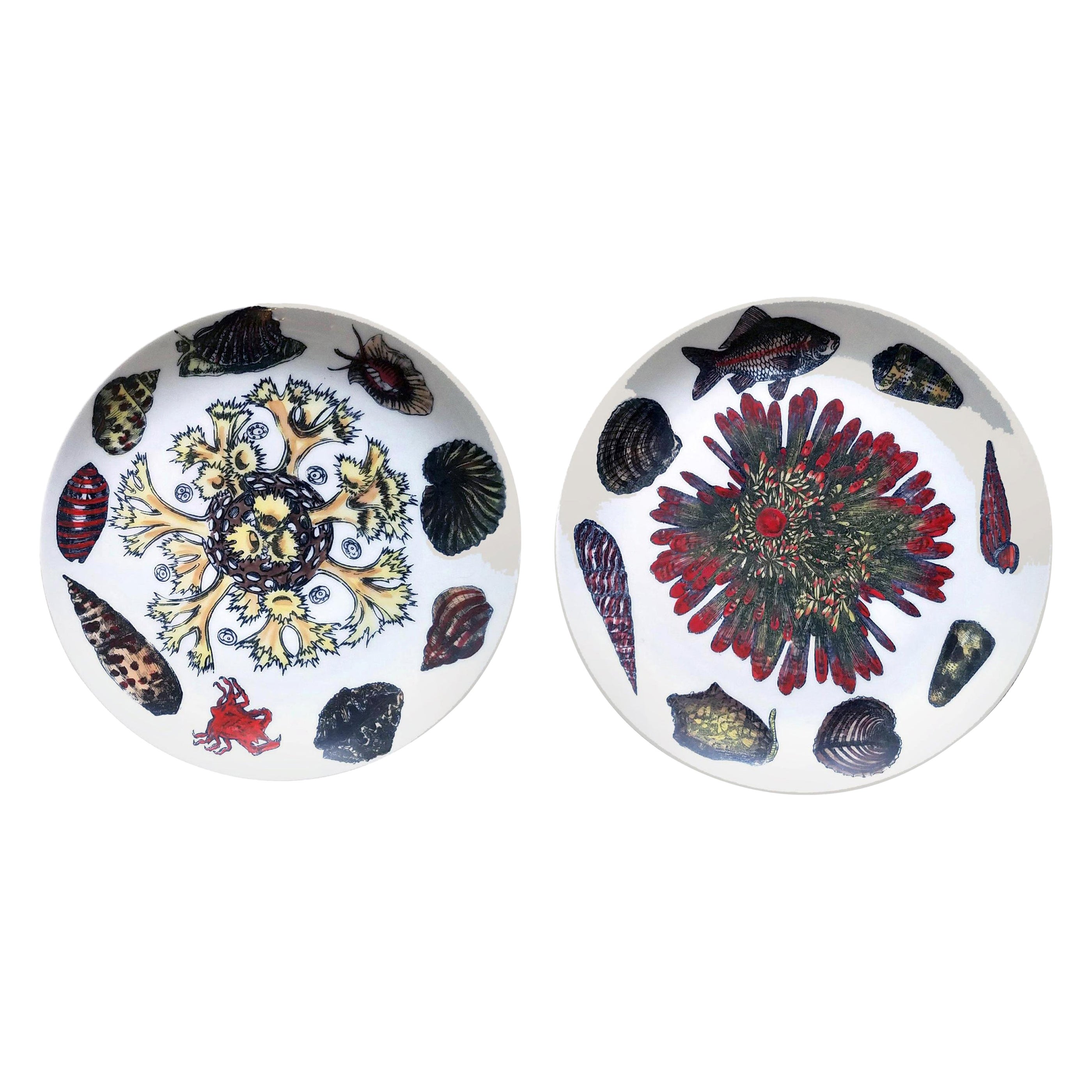 Platos de porcelana Piero Fornasetti, Pareja decorados con conchas de mar y anémonas