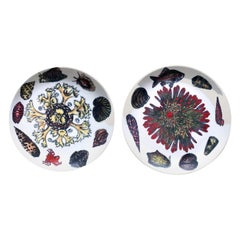 Paire d'assiettes en porcelaine de Piero Fornasetti, décorées de coquillages et d'emblèmes