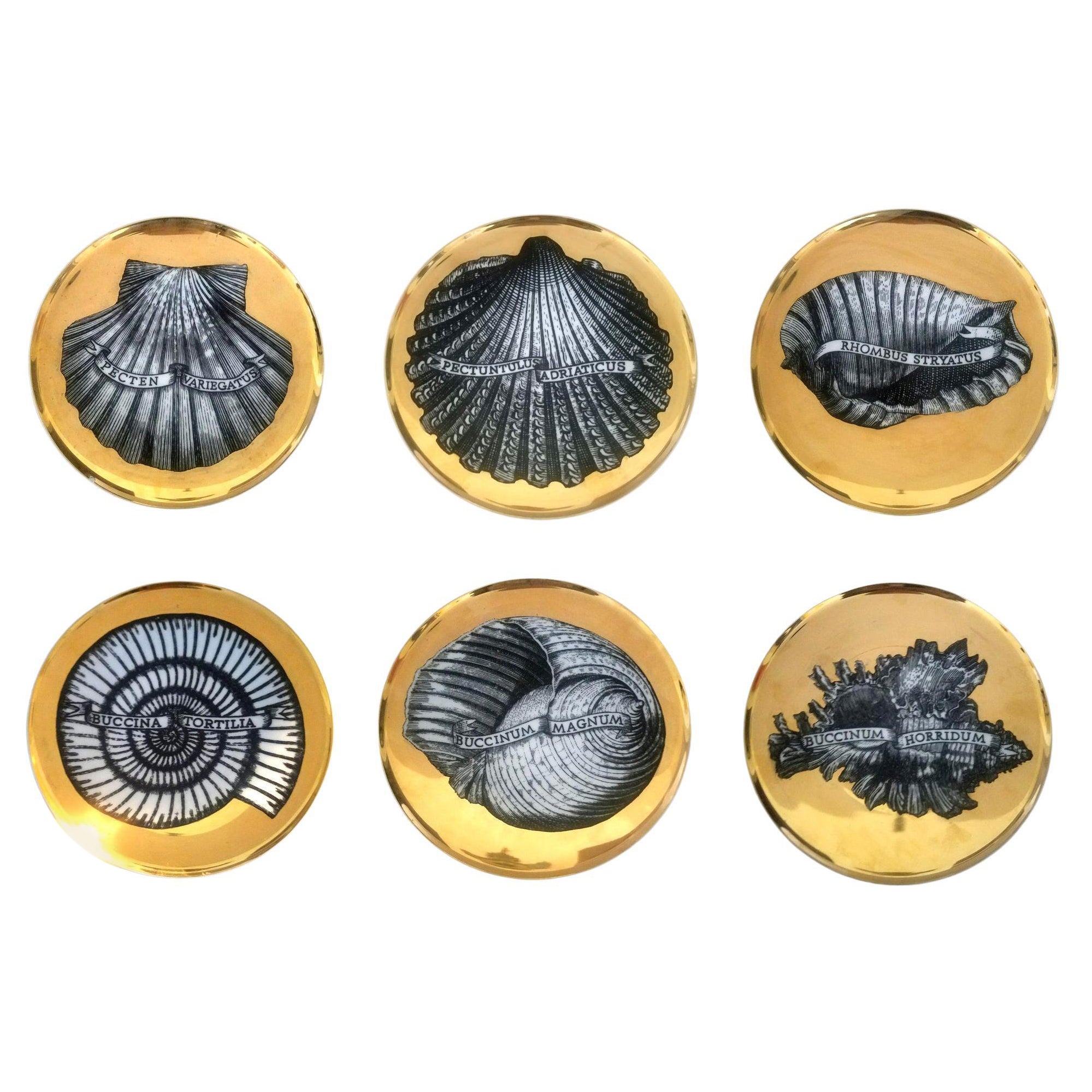 Piero Fornasetti Seis platos de concha marina de porcelana dorada, motivo Conchyliorum, años 50