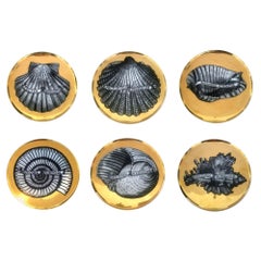 Piero Fornasetti Seis platos de concha marina de porcelana dorada, motivo Conchyliorum, años 50