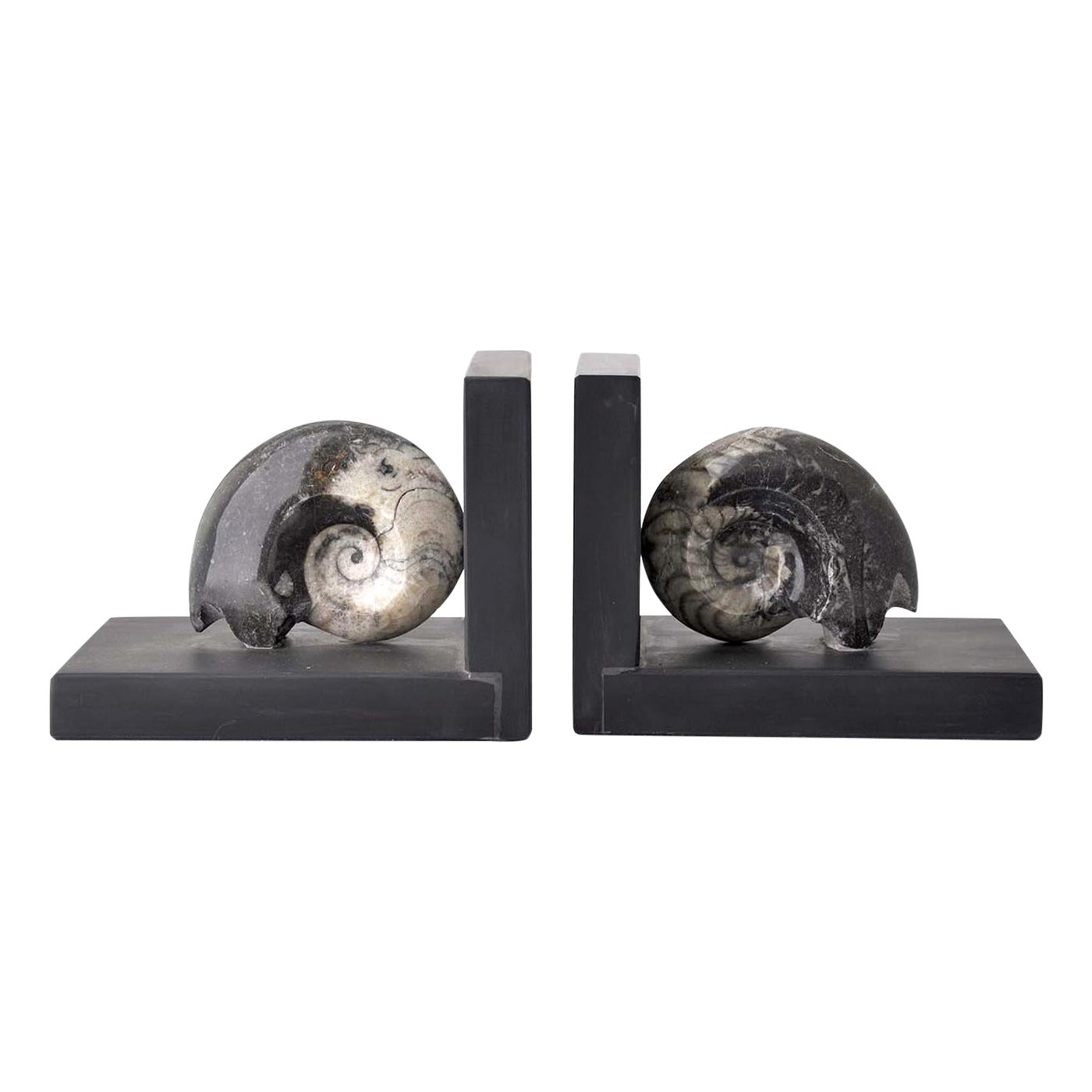 Fossiline Set of Black Bookends by Nino Basso