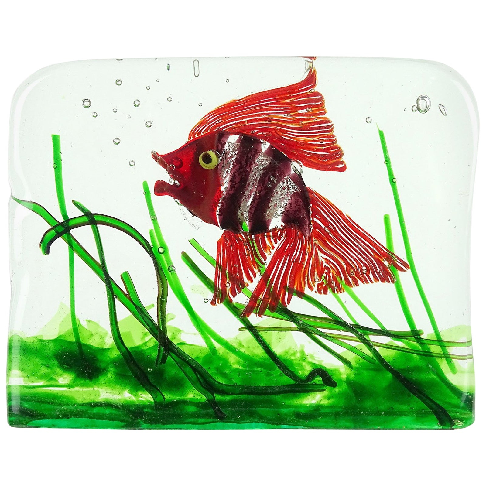 Cenedese Murano Green Pink Orange Black Fish Italian Art Glass Aquarium Block For Sale at 1stDibs