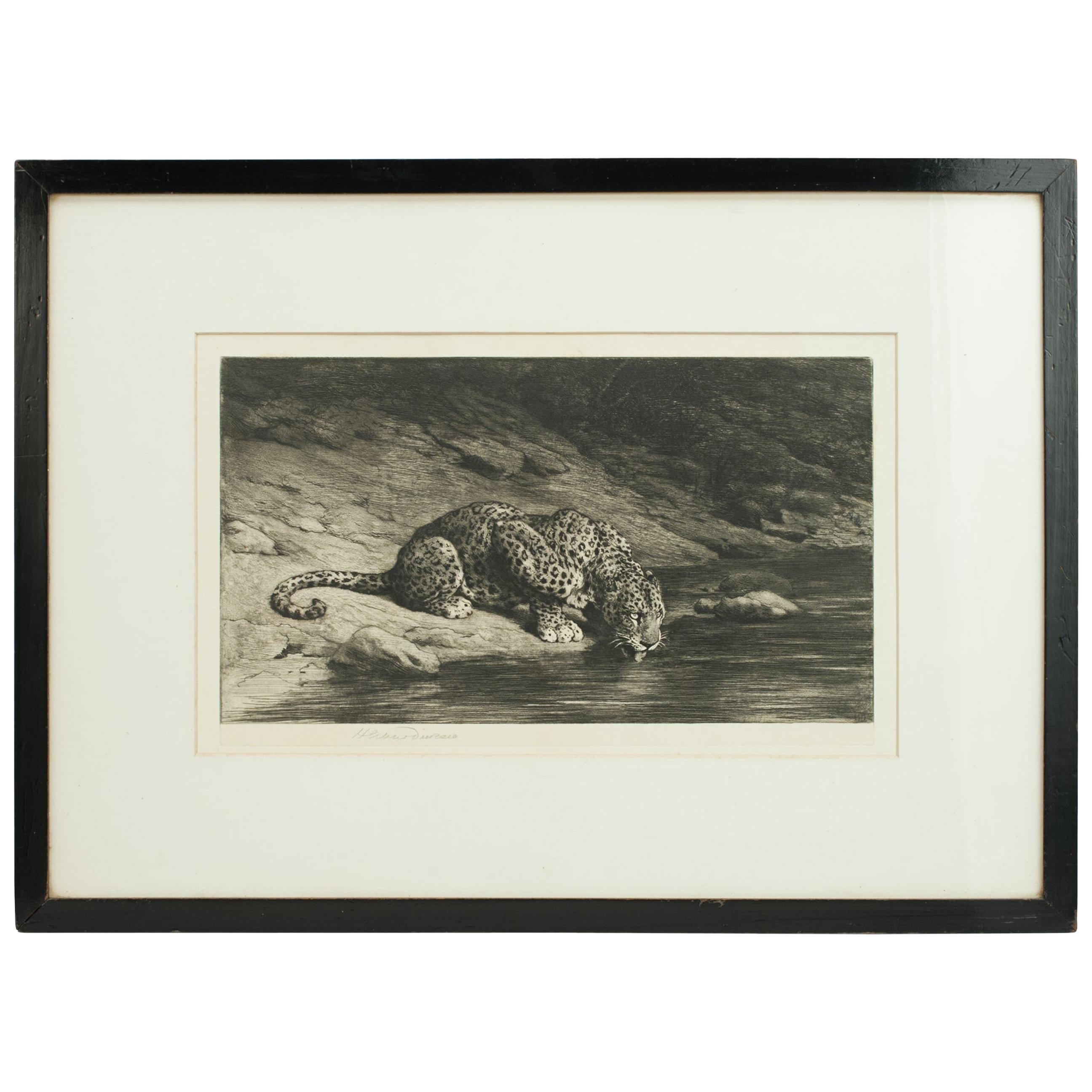 Leopard Drinking from the River by Herbert Dicksee, Drinking at the Waters Edge 