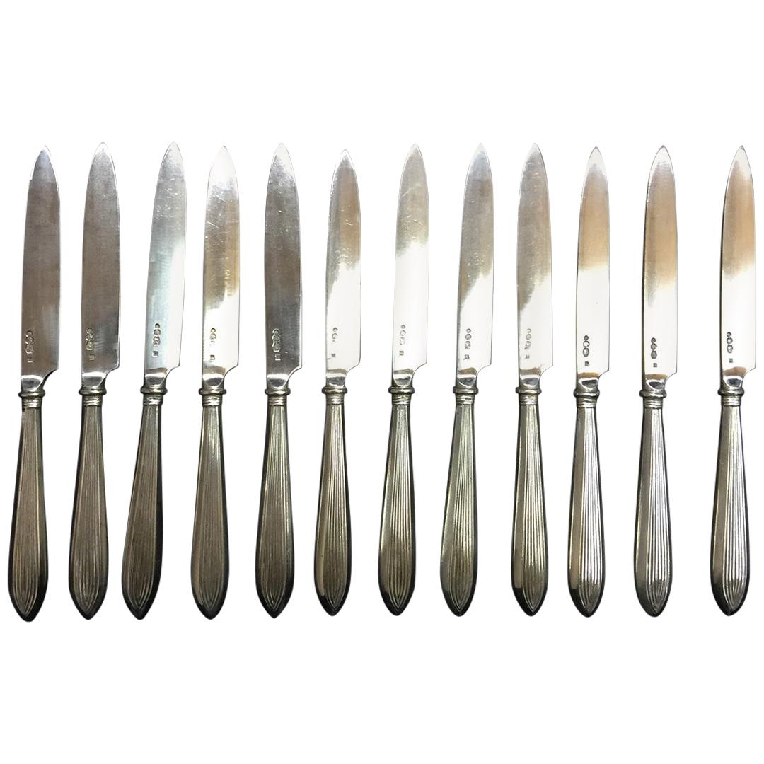 12 Pieces Rib Model Silver Fruit Knifes, Netherlands, 1920
