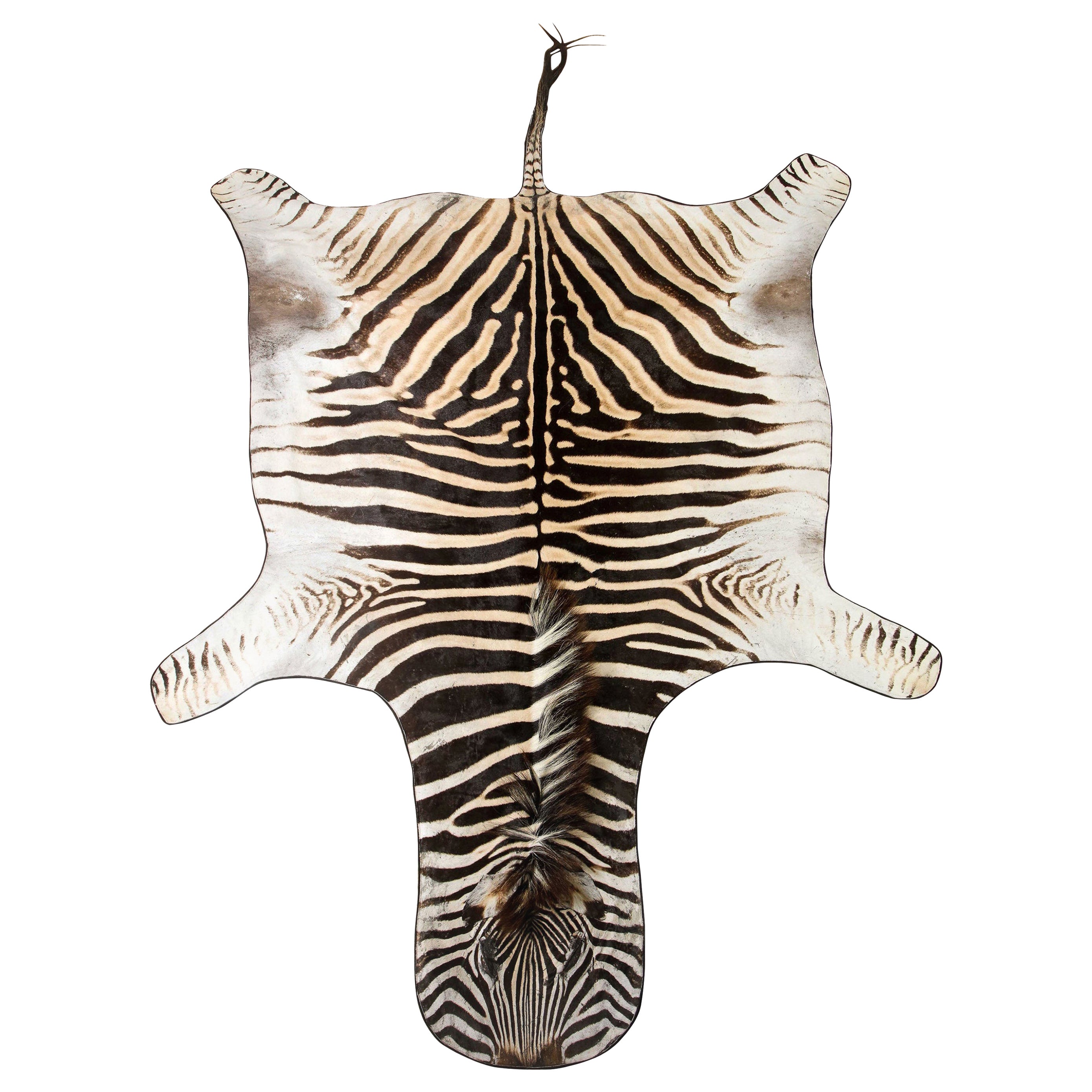 Zebra Hide Rug, South Africa, Chocolate Brown, In Stock at 1stDibs
