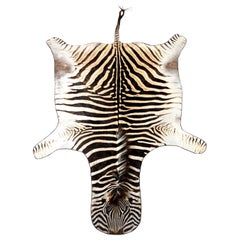 Zebra Rug, South Africa, Wool Felt Backed with Leather Trim, New Hide, in Stock