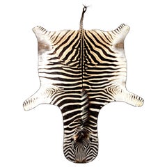 Zebra Rug, South Africa, Wool Felt Backed with Leather Trim, New Hide, in Stock