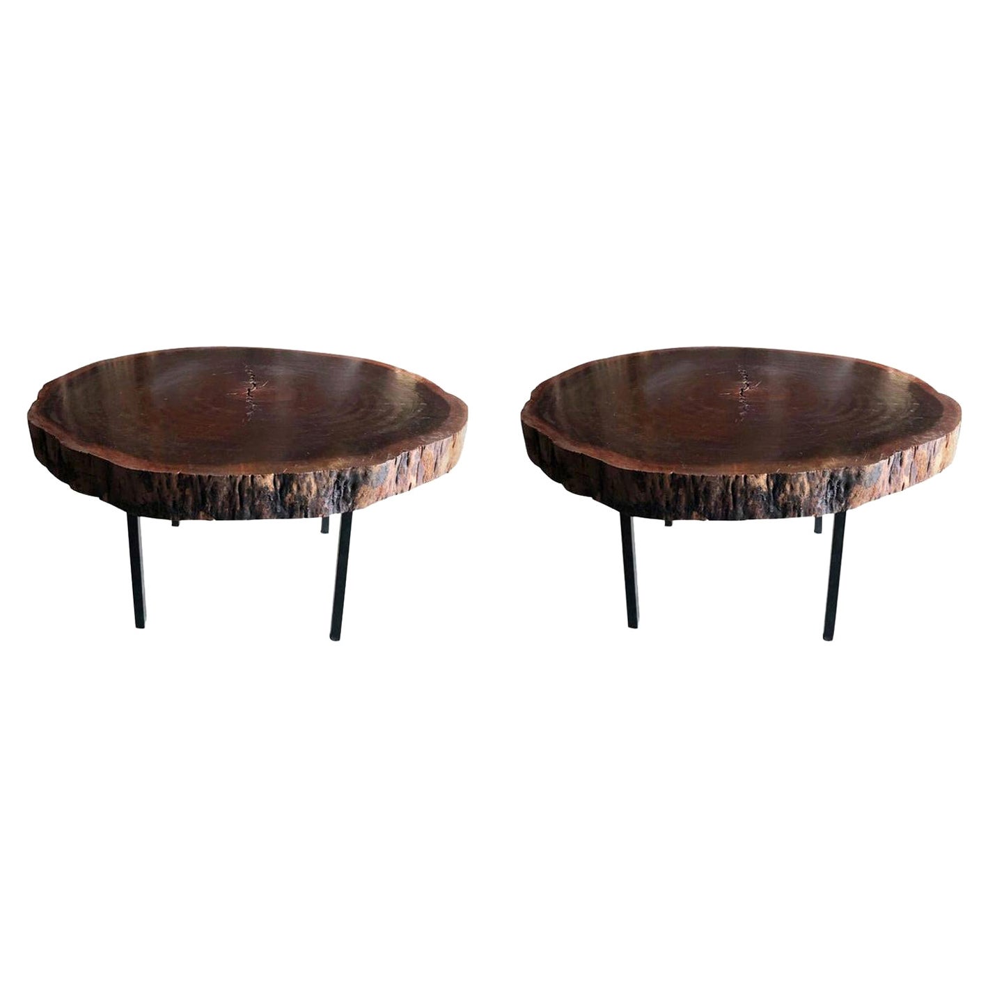 20th Century French Pair of Tree Trunk Oak Tables in the Style of George Nelson For Sale