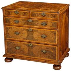 William and Mary Period Oyster Veneered Chest of Drawers
