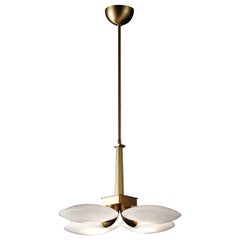 Contemporary Pendant Lamp