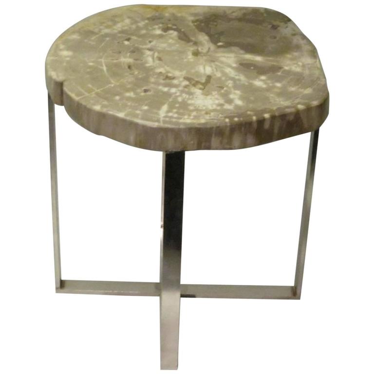 Petrified Wood Slice Side Table For Sale at 1stdibs