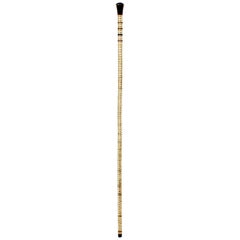 19th Century Sailors Walking Stick or Cane