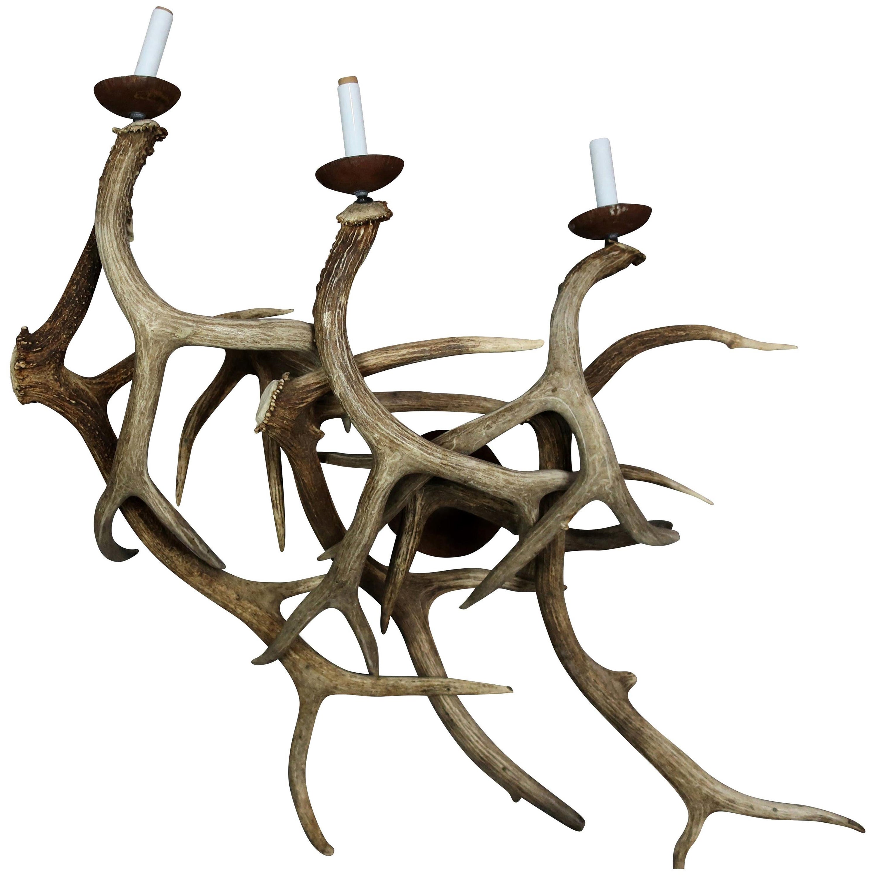 Antler Wall Sconces, Pair of Three-Light For Sale