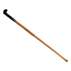 Weapon Cane Sword Walking Stick