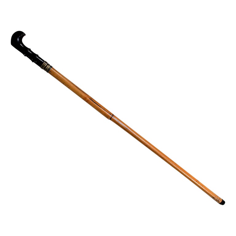 Weapon Cane Sword Walking Stick at 1stDibs