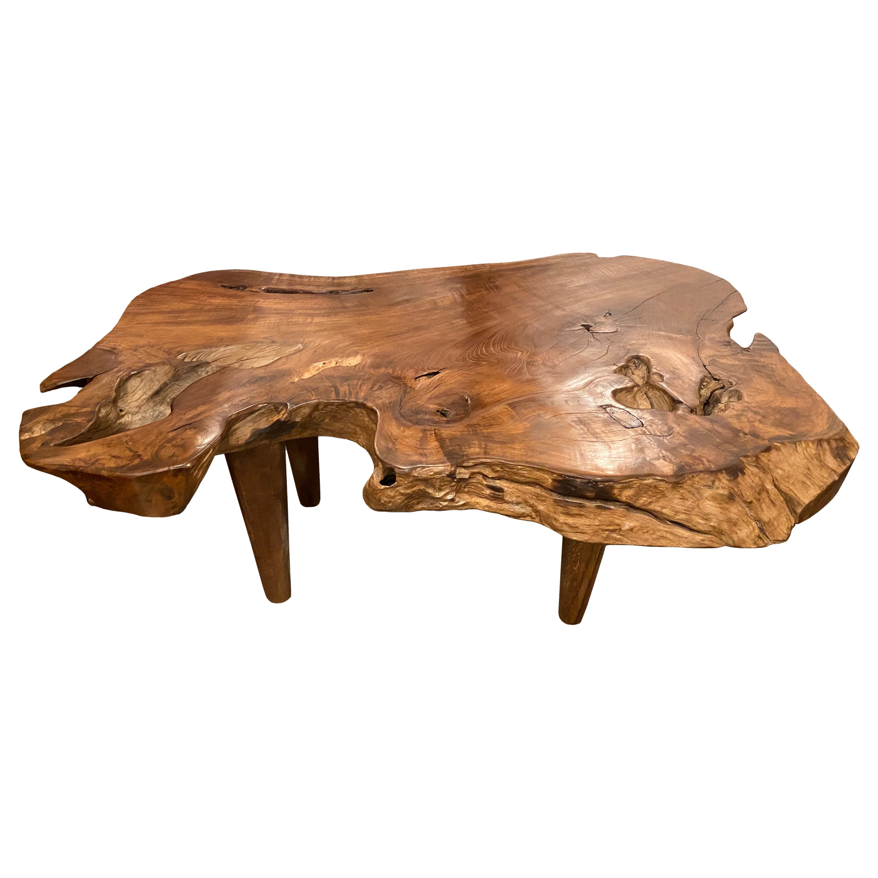 MidCentury Modern Live Edge Tree Slab Coffee Table at 1stDibs