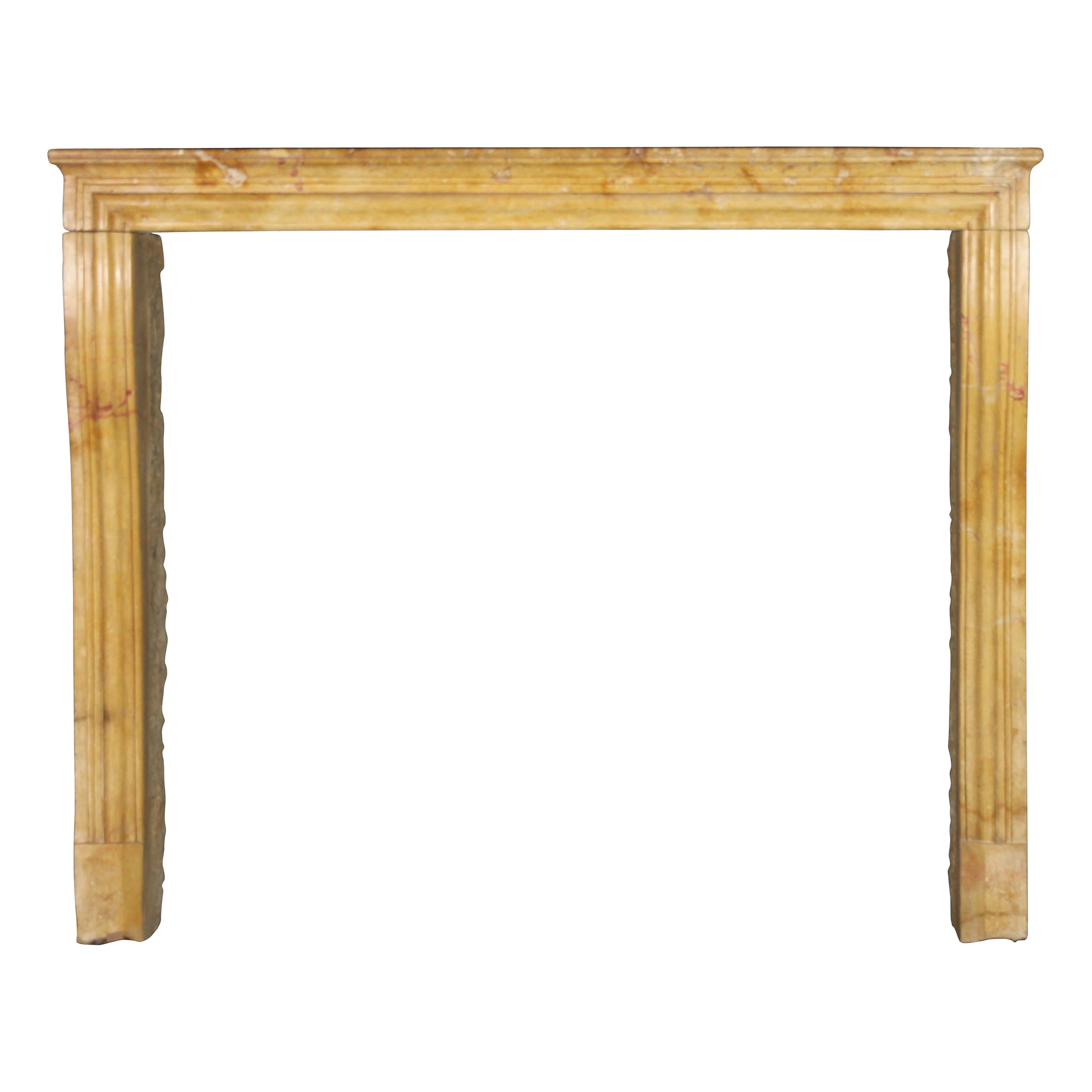 Created by Nature French Vintage Fireplace Surround in Limestone For Sale