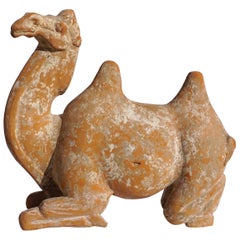 Antique Tang Dynasty Bactrian Camel Sculpture